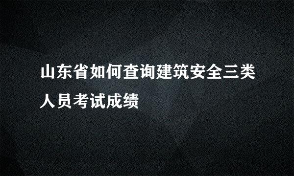 山东省如何查询建筑安全三类人员考试成绩