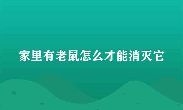 家里有老鼠怎么才能消灭它