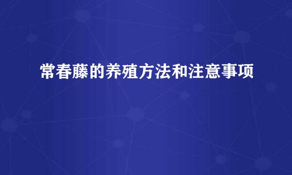 常春藤的养殖方法和注意事项
