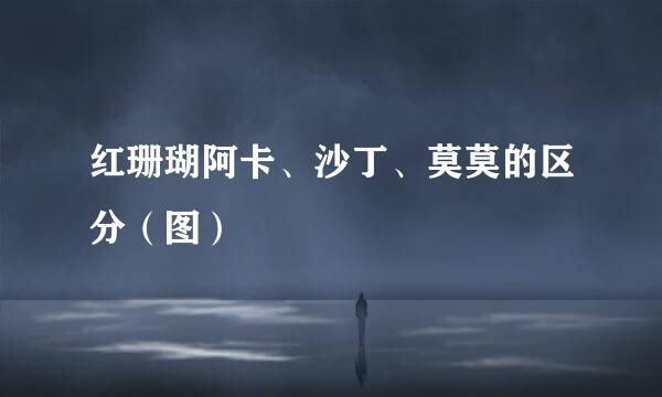 红珊瑚阿卡、沙丁、莫莫的区分（图）
