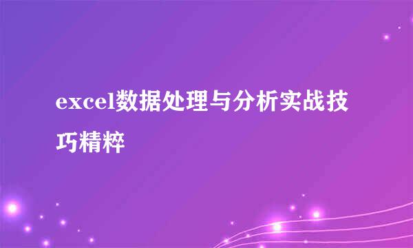 excel数据处理与分析实战技巧精粹