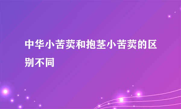 中华小苦荬和抱茎小苦荬的区别不同
