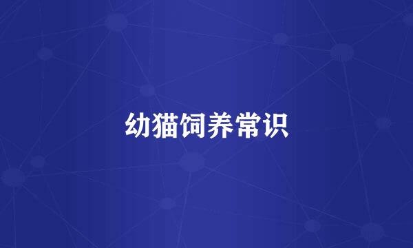 幼猫饲养常识
