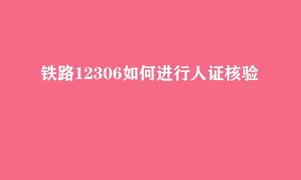 铁路12306如何进行人证核验