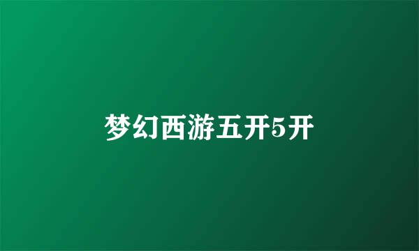 梦幻西游五开5开