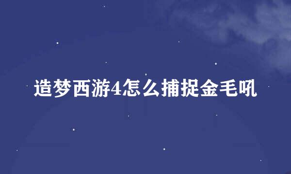 造梦西游4怎么捕捉金毛吼