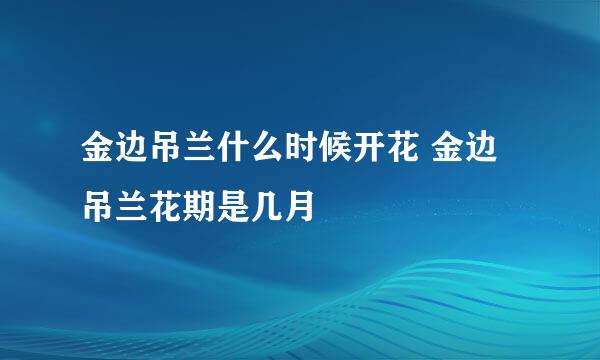 金边吊兰什么时候开花 金边吊兰花期是几月