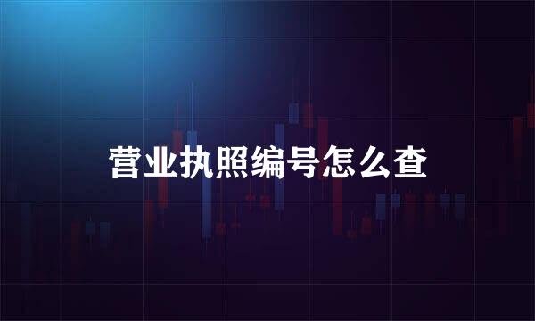 营业执照编号怎么查