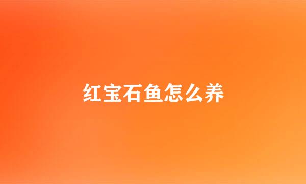 红宝石鱼怎么养