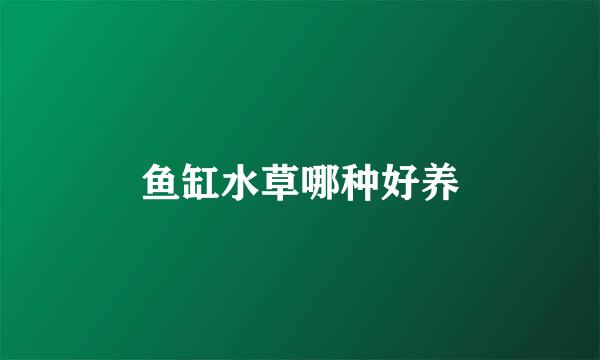 鱼缸水草哪种好养