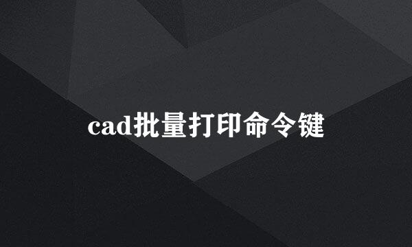 cad批量打印命令键