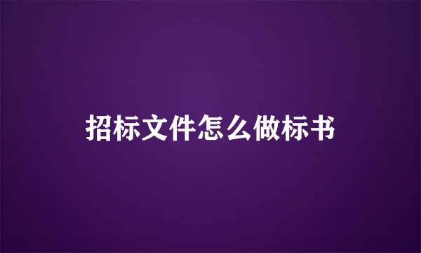 招标文件怎么做标书