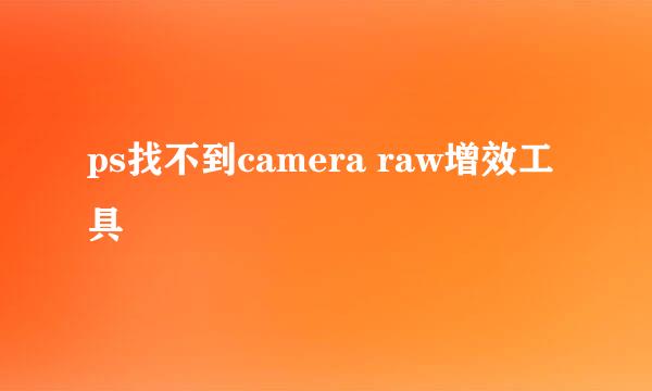 ps找不到camera raw增效工具