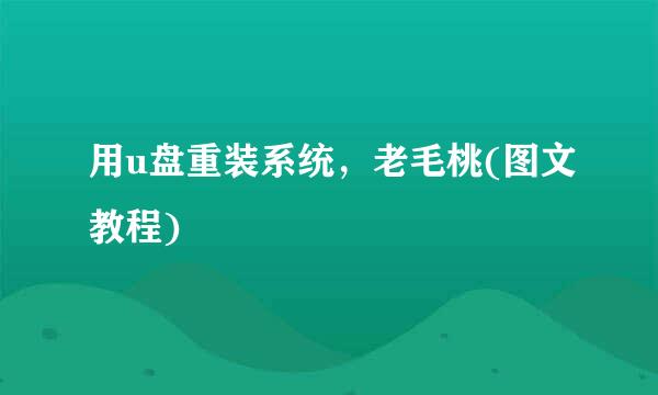 用u盘重装系统，老毛桃(图文教程)
