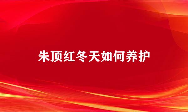 朱顶红冬天如何养护
