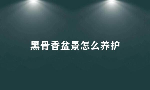 黑骨香盆景怎么养护