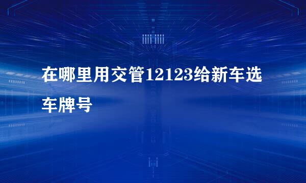 在哪里用交管12123给新车选车牌号