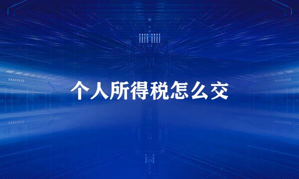 个人所得税怎么交