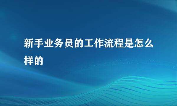 新手业务员的工作流程是怎么样的