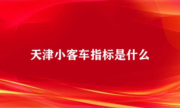 天津小客车指标是什么