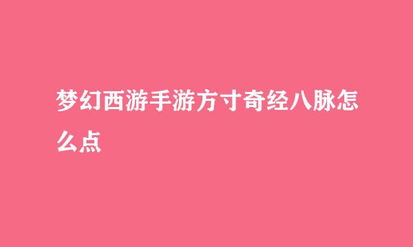 梦幻西游手游方寸奇经八脉怎么点
