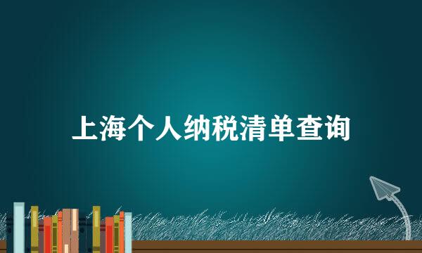 上海个人纳税清单查询