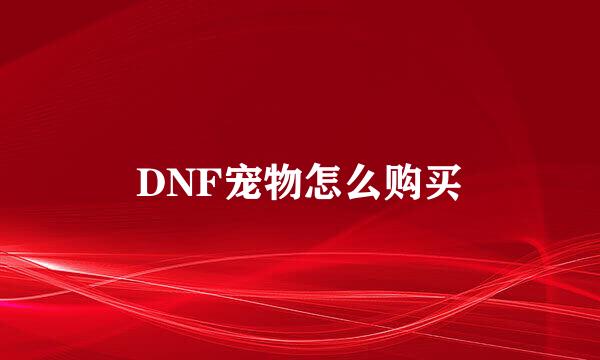 DNF宠物怎么购买