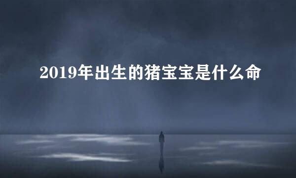 2019年出生的猪宝宝是什么命