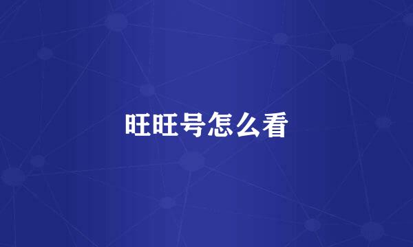 旺旺号怎么看