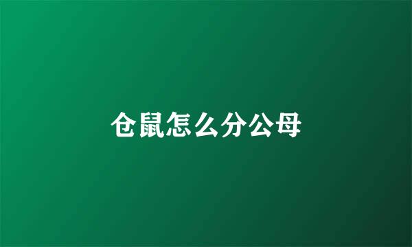 仓鼠怎么分公母