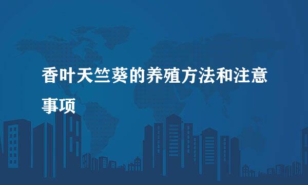 香叶天竺葵的养殖方法和注意事项