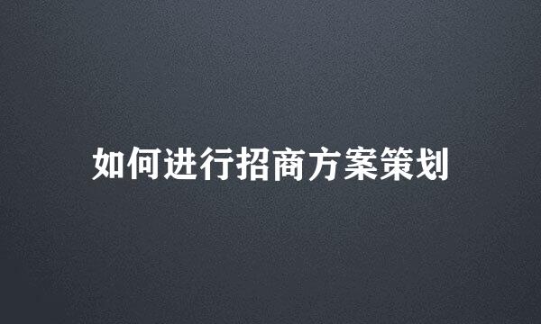 如何进行招商方案策划