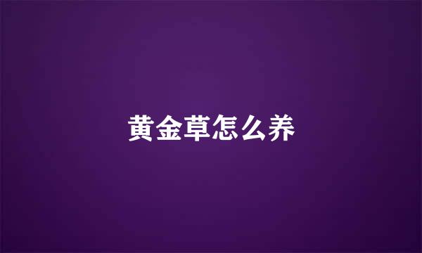 黄金草怎么养