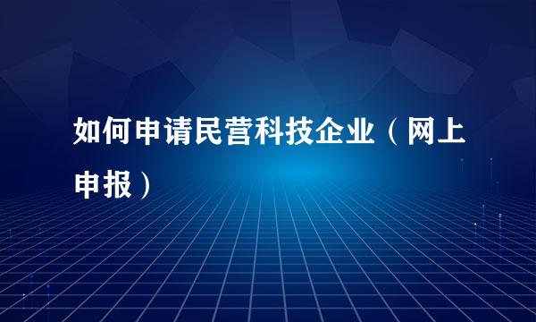 如何申请民营科技企业（网上申报）