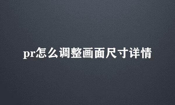 pr怎么调整画面尺寸详情