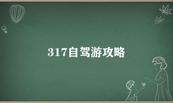 317自驾游攻略