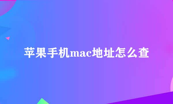 苹果手机mac地址怎么查