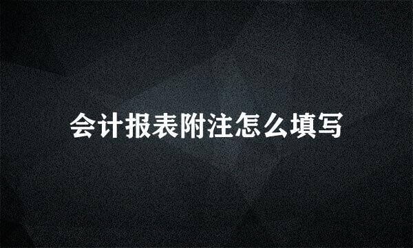 会计报表附注怎么填写