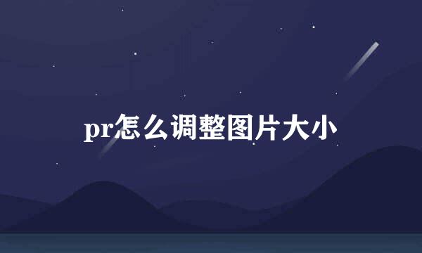 pr怎么调整图片大小