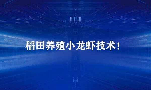 稻田养殖小龙虾技术！