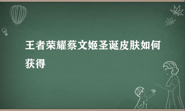 王者荣耀蔡文姬圣诞皮肤如何获得