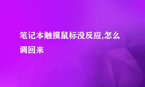 笔记本触摸鼠标没反应,怎么调回来