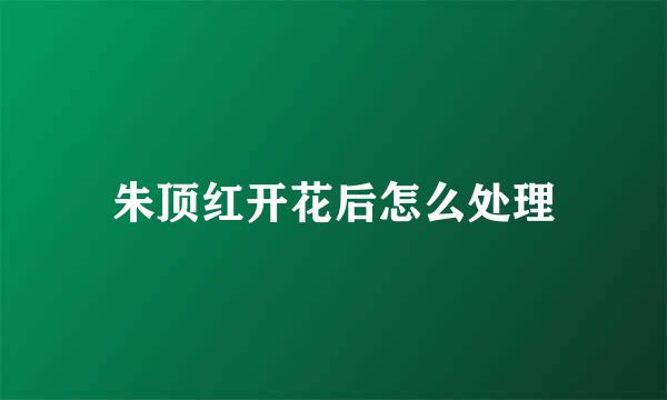 朱顶红开花后怎么处理