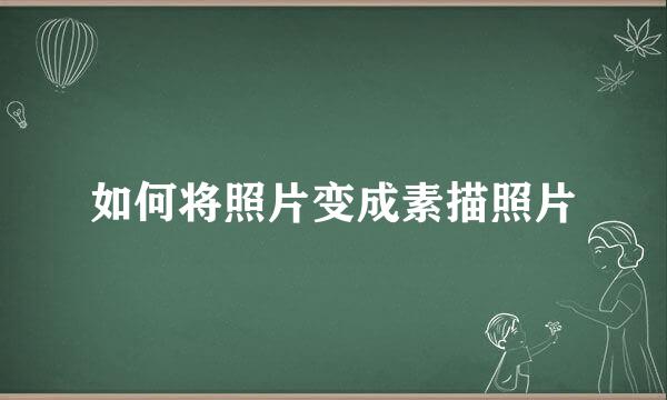 如何将照片变成素描照片