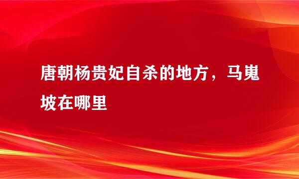 唐朝杨贵妃自杀的地方，马嵬坡在哪里
