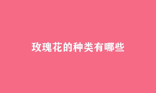 玫瑰花的种类有哪些