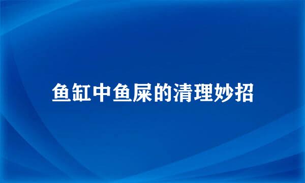 鱼缸中鱼屎的清理妙招