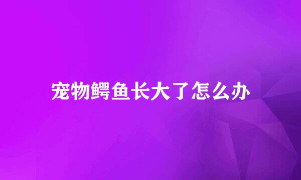 宠物鳄鱼长大了怎么办