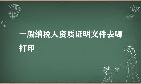 一般纳税人资质证明文件去哪打印