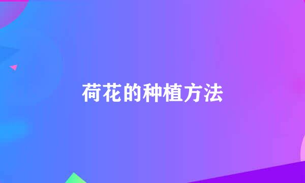 荷花的种植方法
